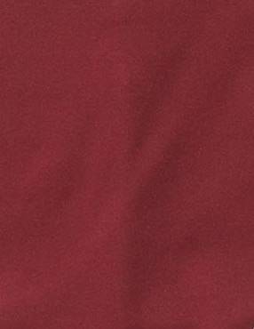Tanga Aerie para mujer